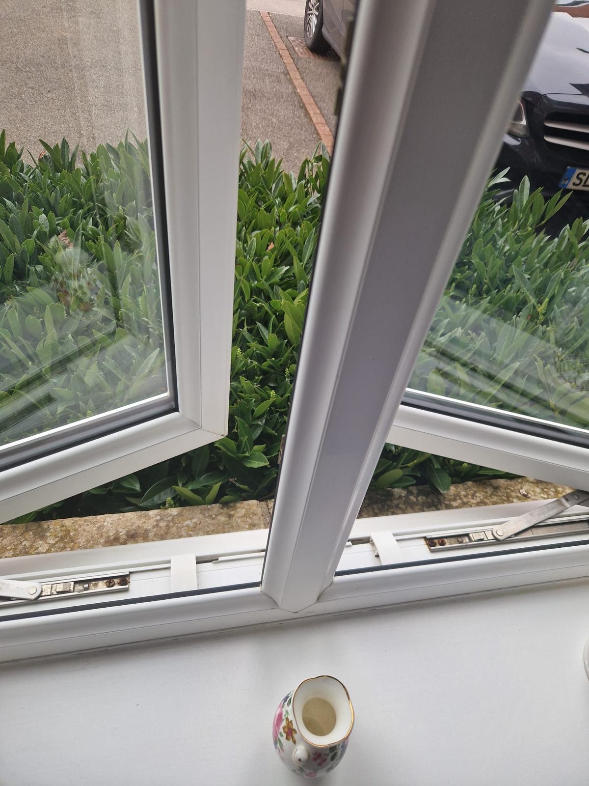 wwindow cleaning 1