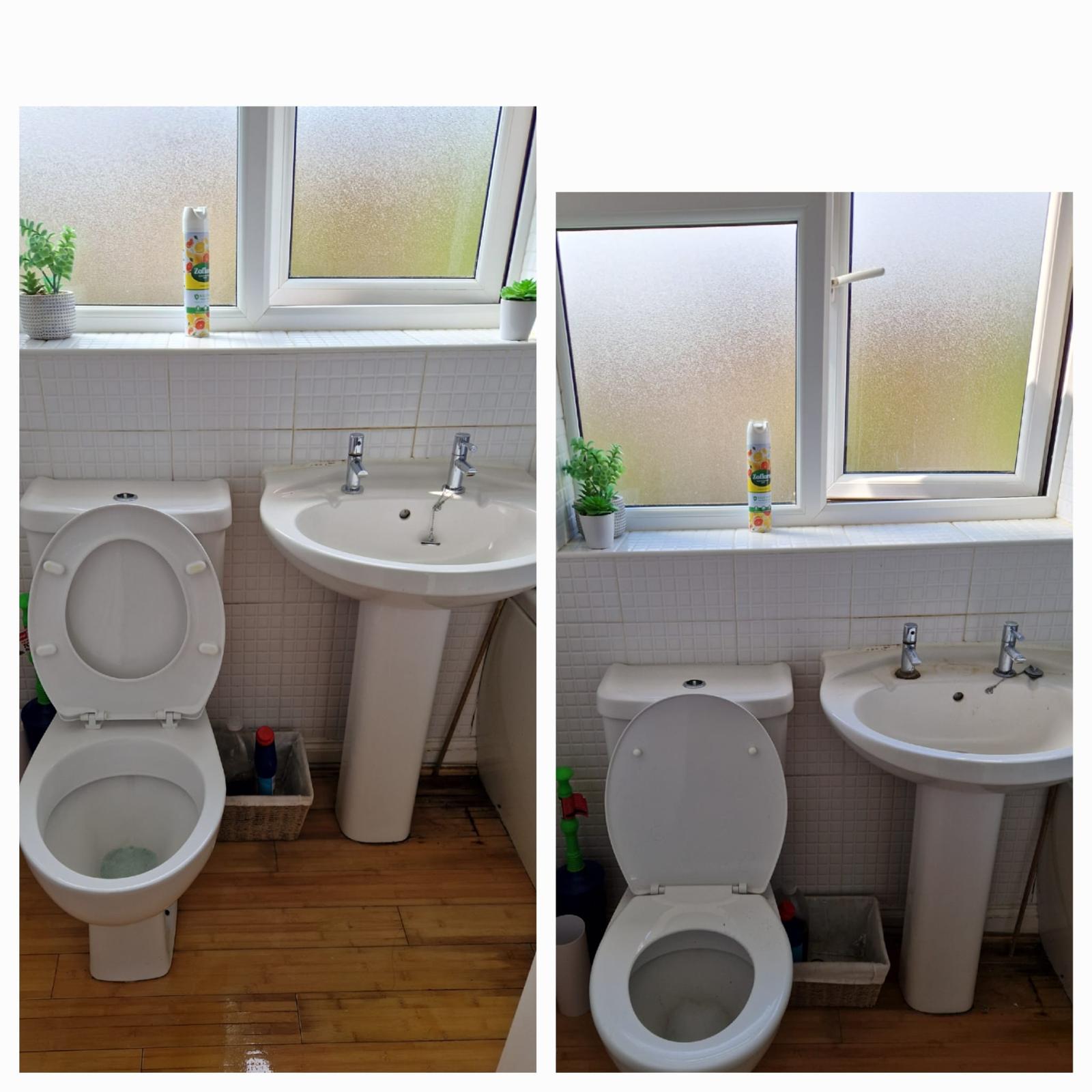 toilet before and after