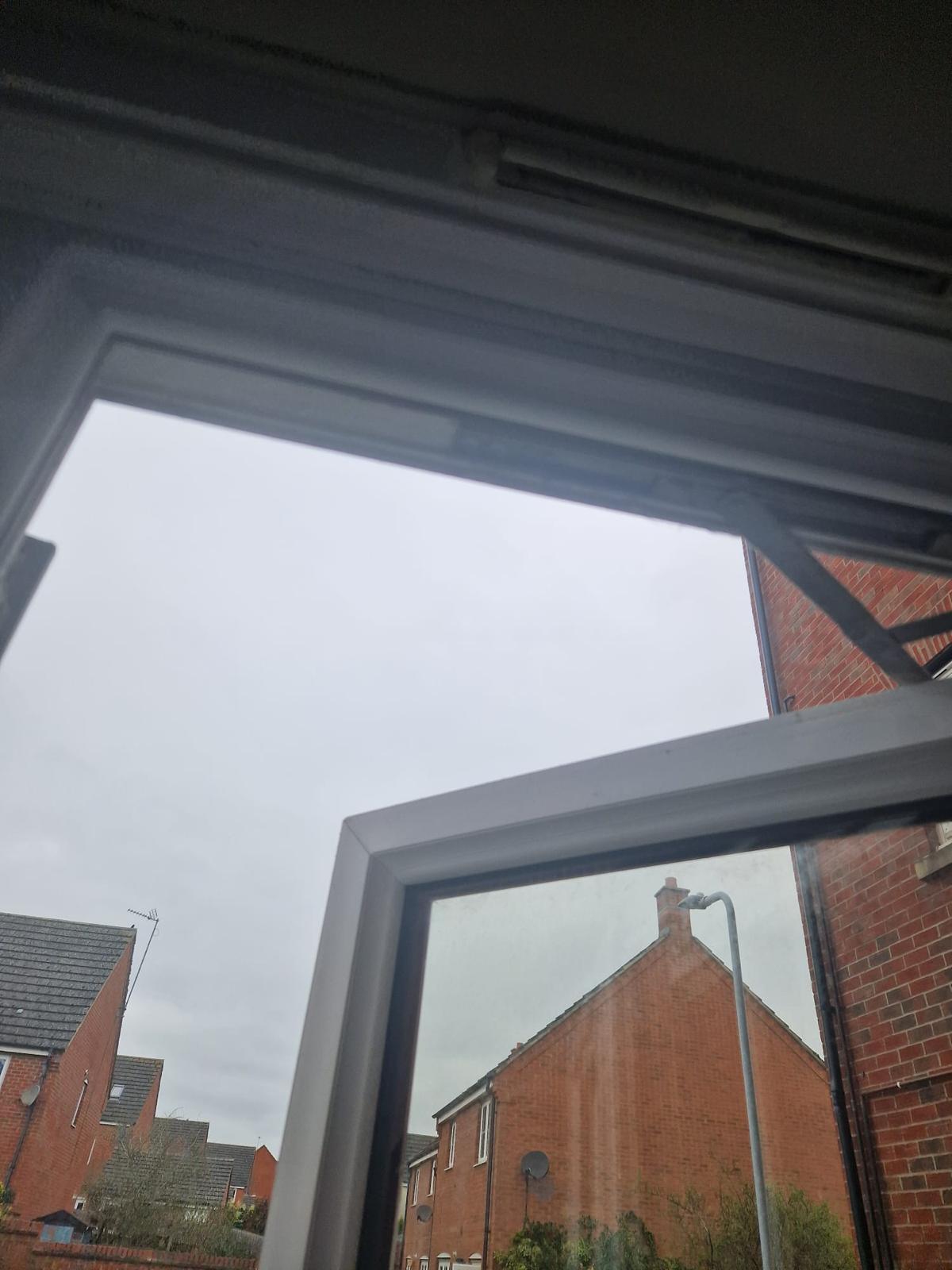 window cleaning 4